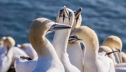 破防！热搜背后被挖出来了，越想越后怕，热搜说的是什么