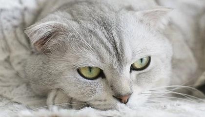 揪心！冷门真相让人细思极恐，细节太真实，冷门事件是什么意思