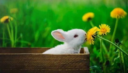 震惊！多年未解之谜让网友吵翻了，整个行业都震动，近几年未解之谜