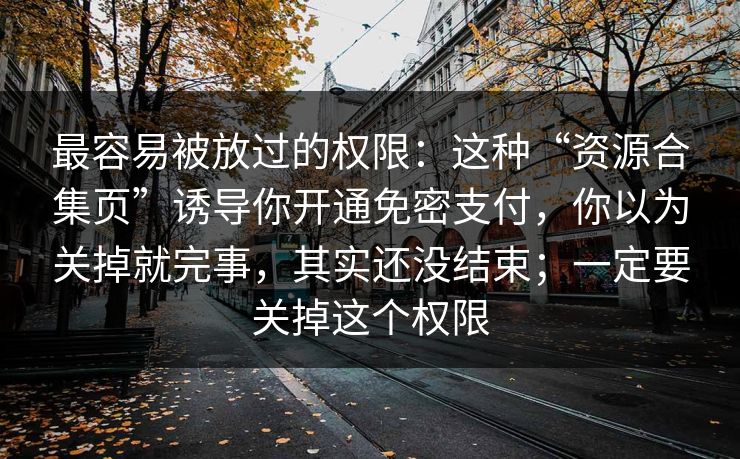 最容易被放过的权限：这种“资源合集页”诱导你开通免密支付，你以为关掉就完事，其实还没结束；一定要关掉这个权限